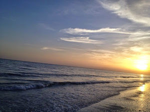 Meet your Posher, Jo